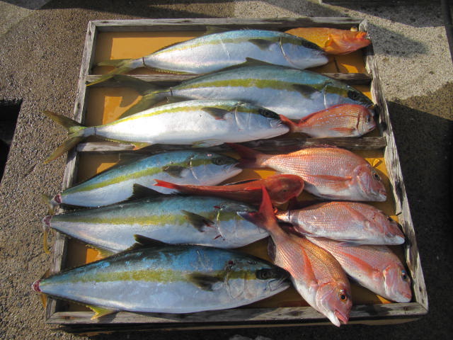 爆釣